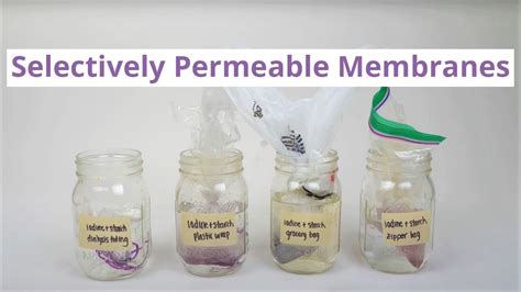 permeable materials experiment